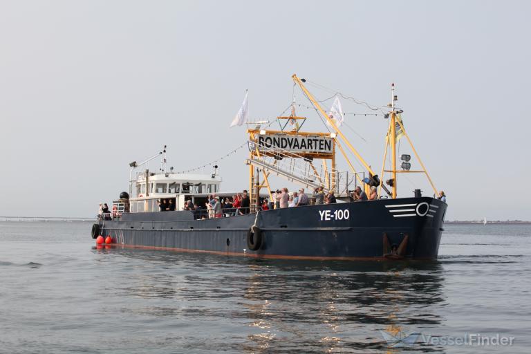 YE100 ADRIAANMARINUS photo