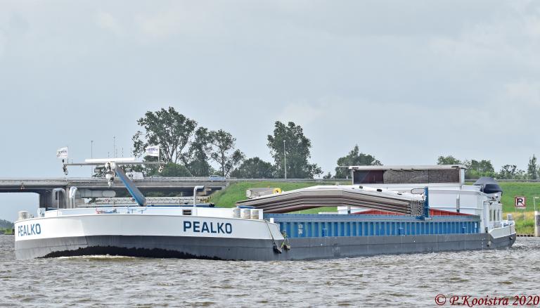PEALKO photo