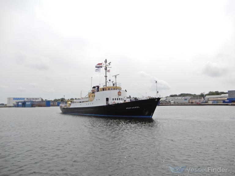 ZEEFAKKEL photo
