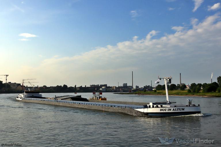 DUC IN ALTUM photo