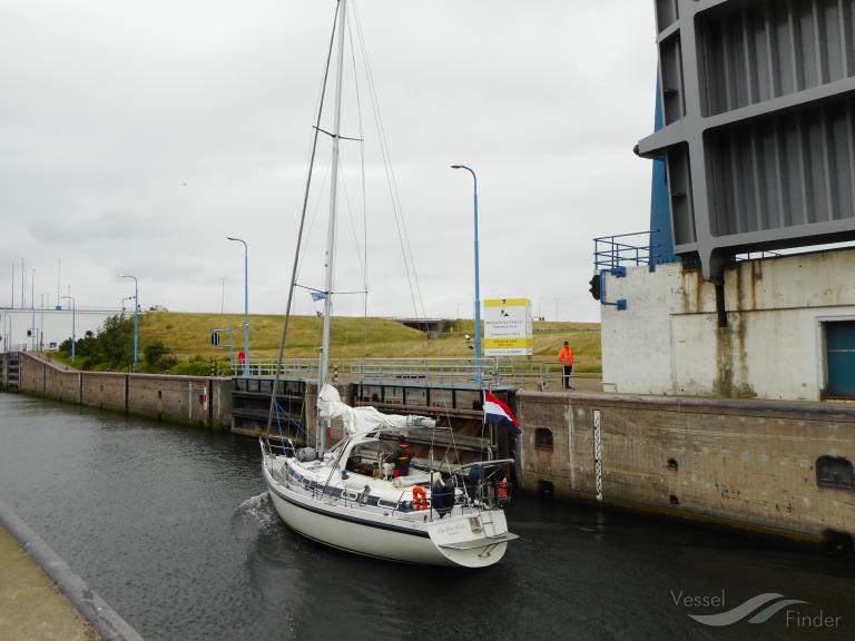 THE BLUE WHALE photo