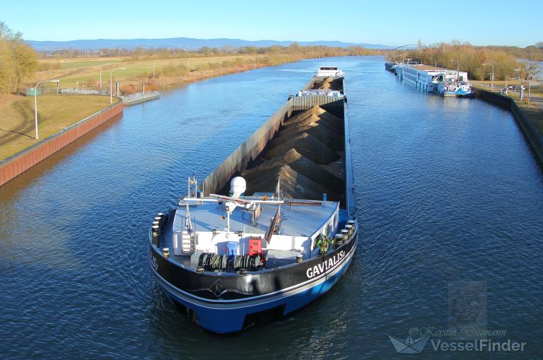 GAVIALIS, Cargo ship - Details and current position - ENI 02325059 ...