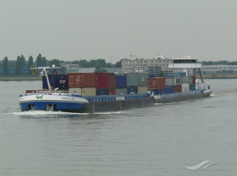 GAVIALIS, Other type - Details and current position - ENI 02325059 ...