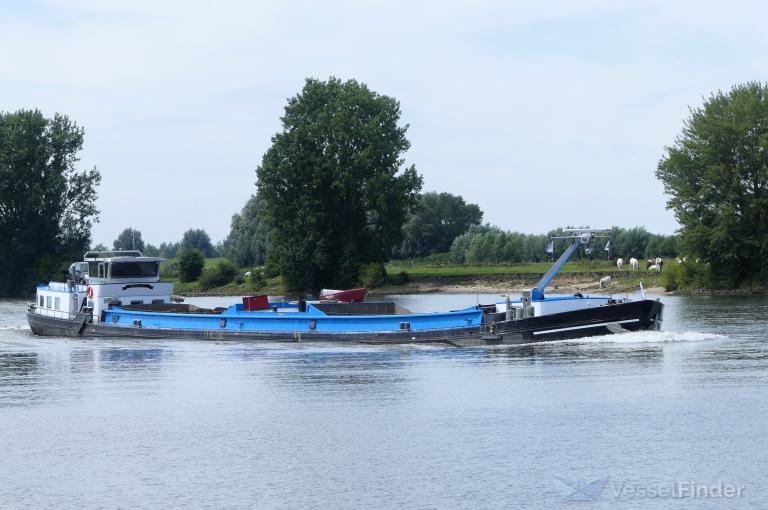 WILLEKE photo