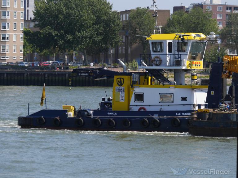 CATHARINA 5