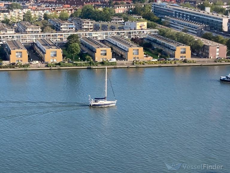 STARFISCH COFFEE photo