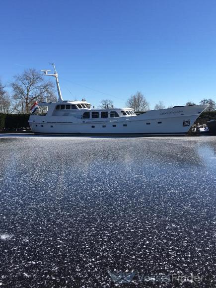 SPIRIT OF FREEDOM photo