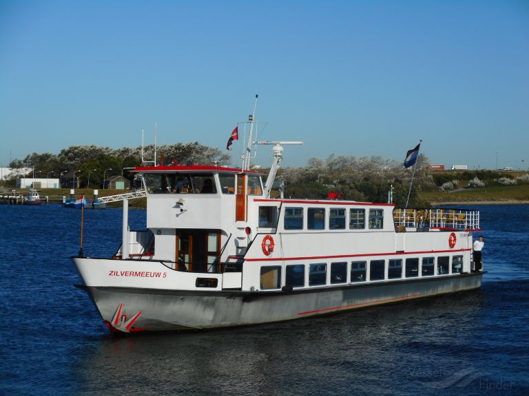 ZILVERMEEUW 5 photo