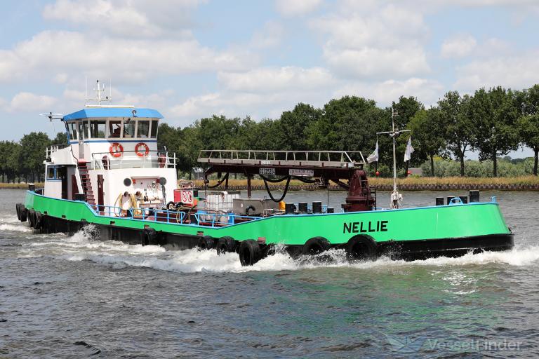 NELLIE