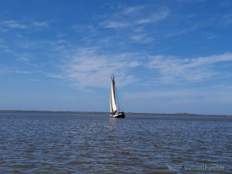 HOLLANDIA photo