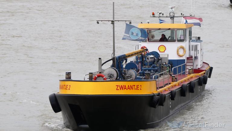 ZWAANTJE 2 photo