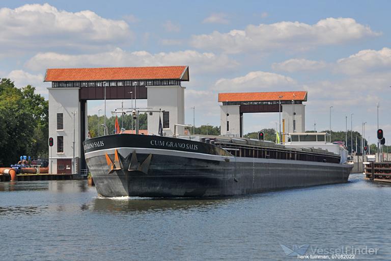 CUM GRANO SALIS photo