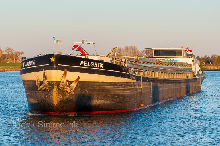 PELGRIM photo