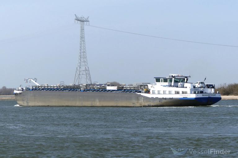 MAASPOORT photo