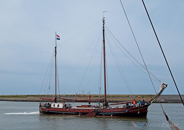 ZWARTE VALK photo