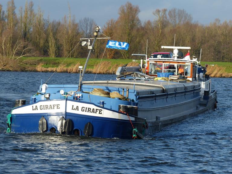 LA GIRAFE photo