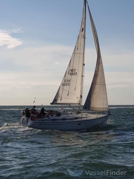 SEAS OUT photo