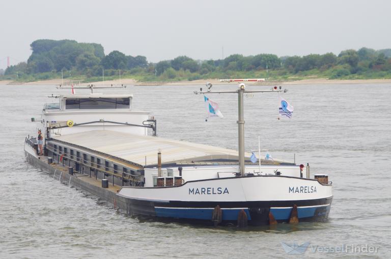 MARELSA photo
