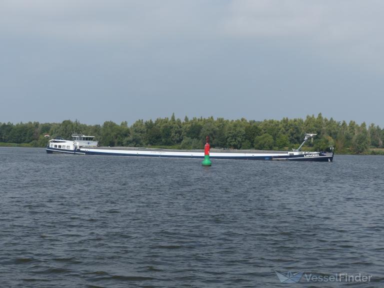 IJSVOGEL