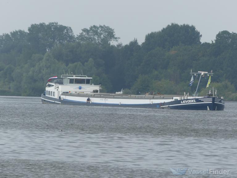 IJSVOGEL