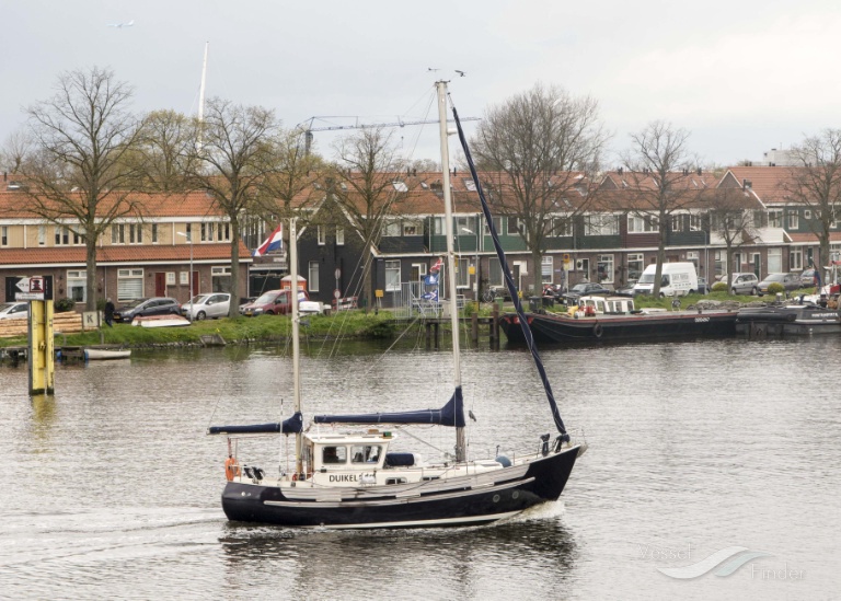 DUIKELAAR photo