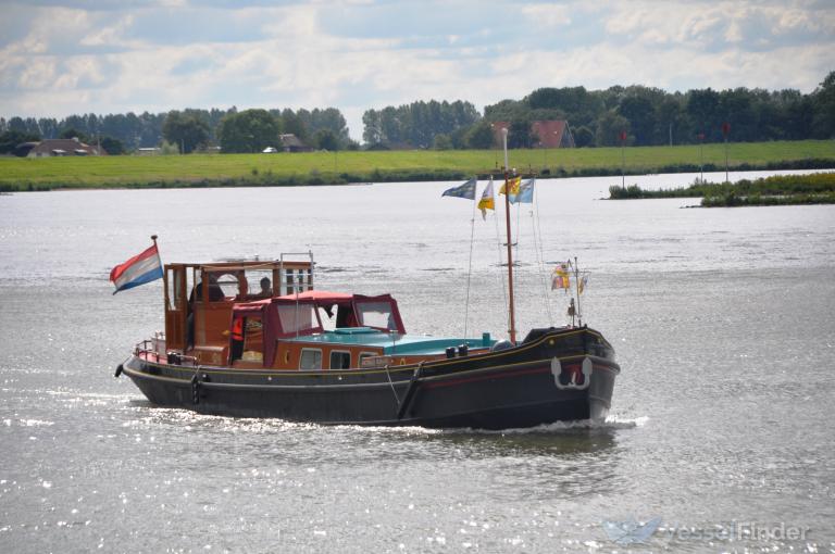 HELENA MARCELIA photo