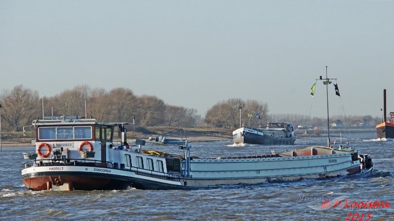  BCORDIA photo