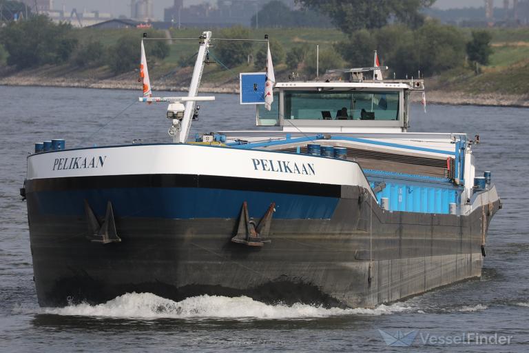 PELIKAAN photo