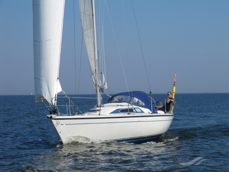 VLINDER photo