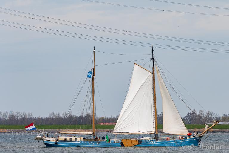 DE HESTER photo