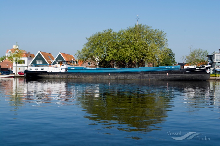 BLAUWE KREEFT photo