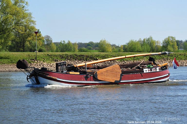 TIPPIE photo
