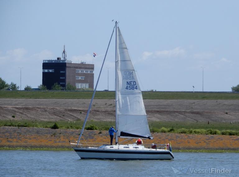 PELIKAAN photo