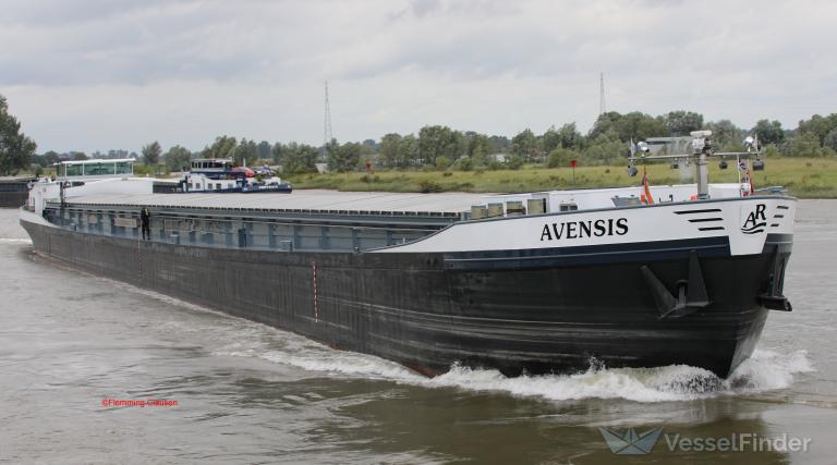 AVENSIS photo