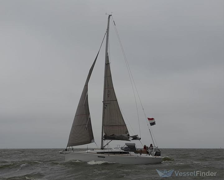 WILDE ZWAAN photo
