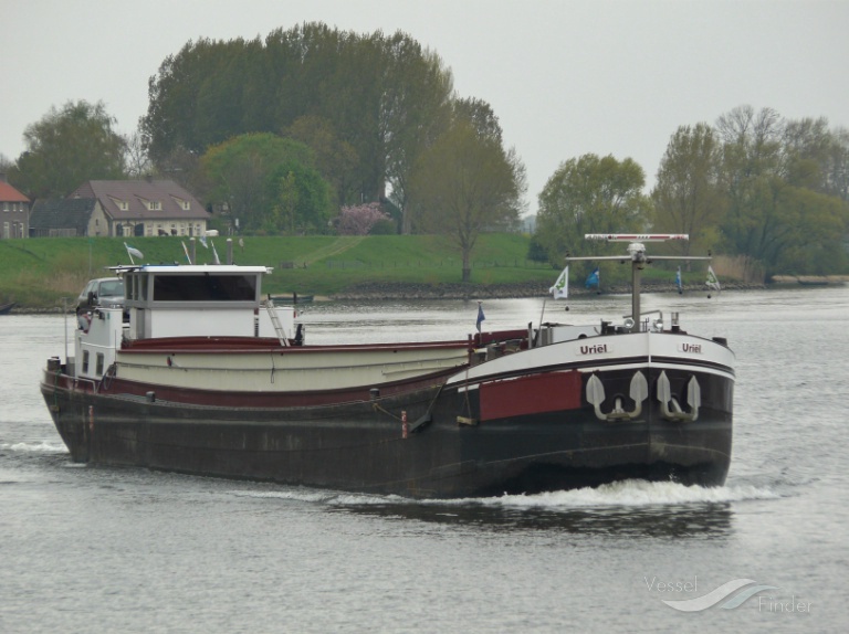 BARRIQUE photo