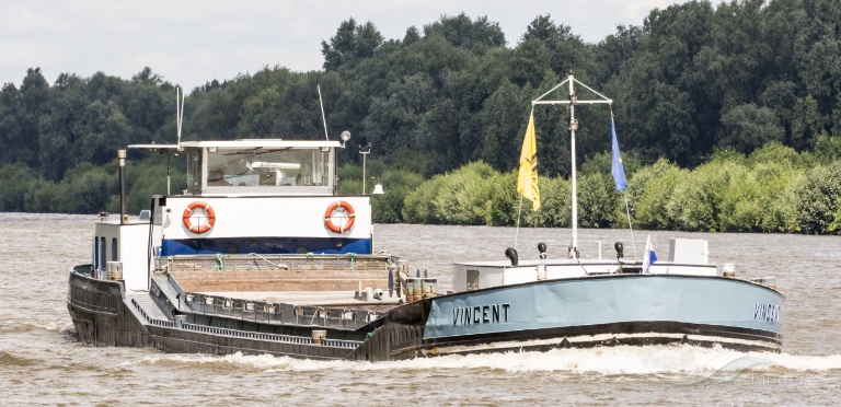 VINCENT photo