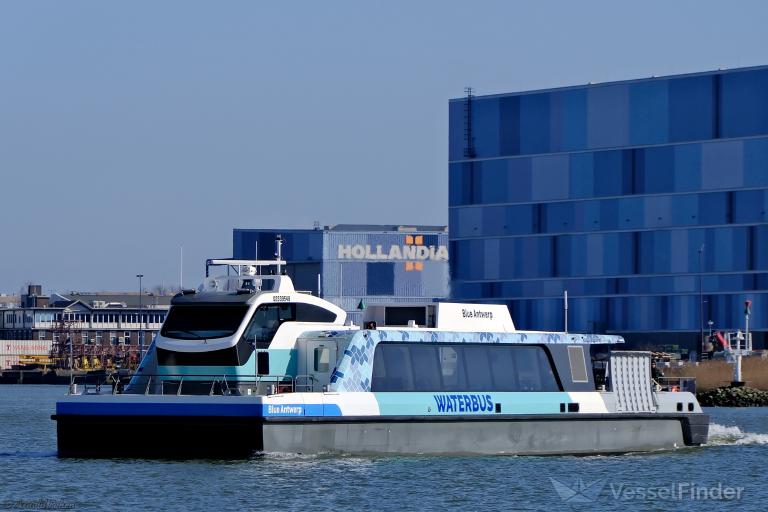BLUE ANTWERP photo