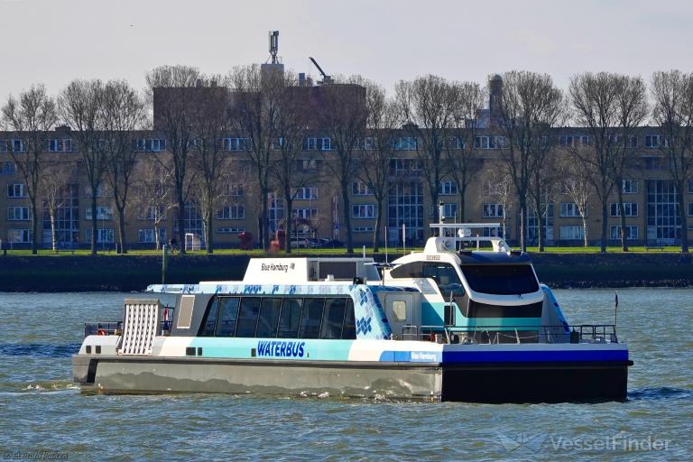 BLUE HAMBURG photo