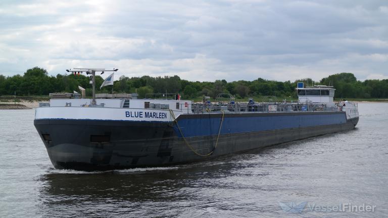 BLUE MARLEEN photo