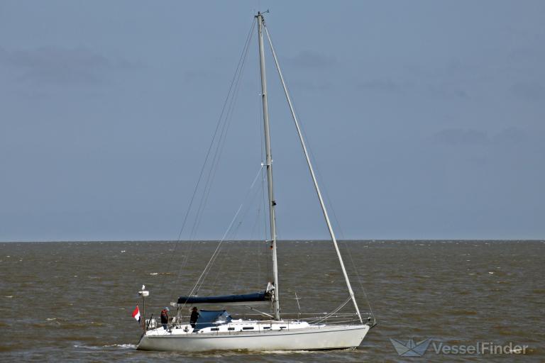 SAROSTAR photo