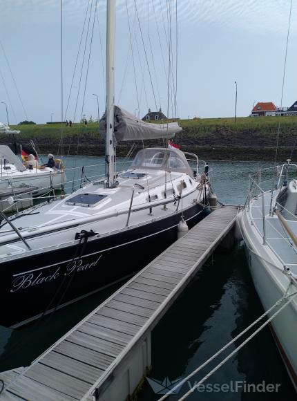 BLACK PEARL photo