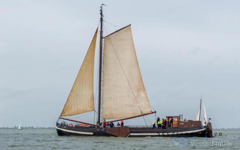 JONGE KOOP V UTRECHT photo