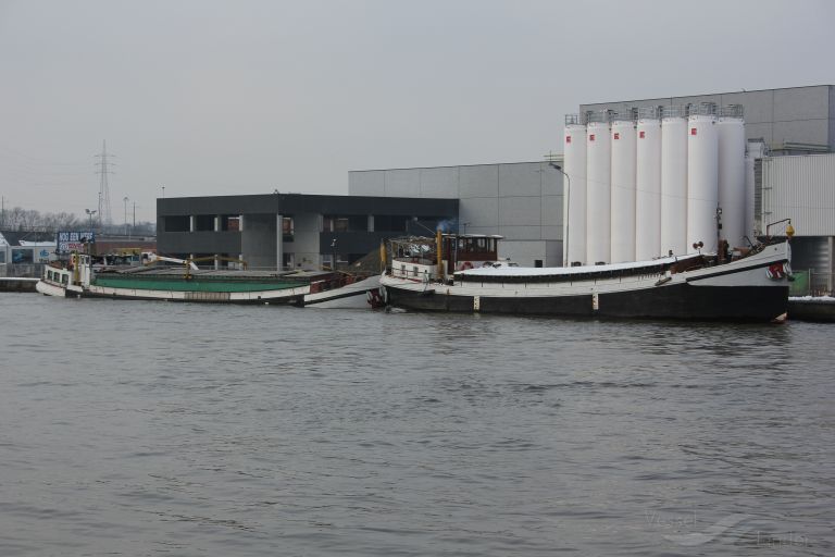 ALLEGONDA photo