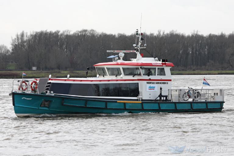 GORINCHEM XI photo