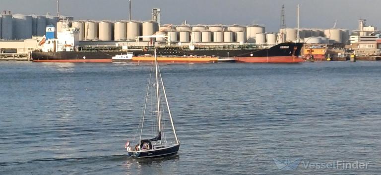 GULLIVER photo