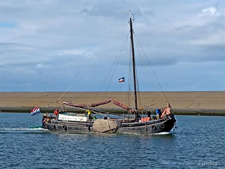 ZWARTE RUITER photo