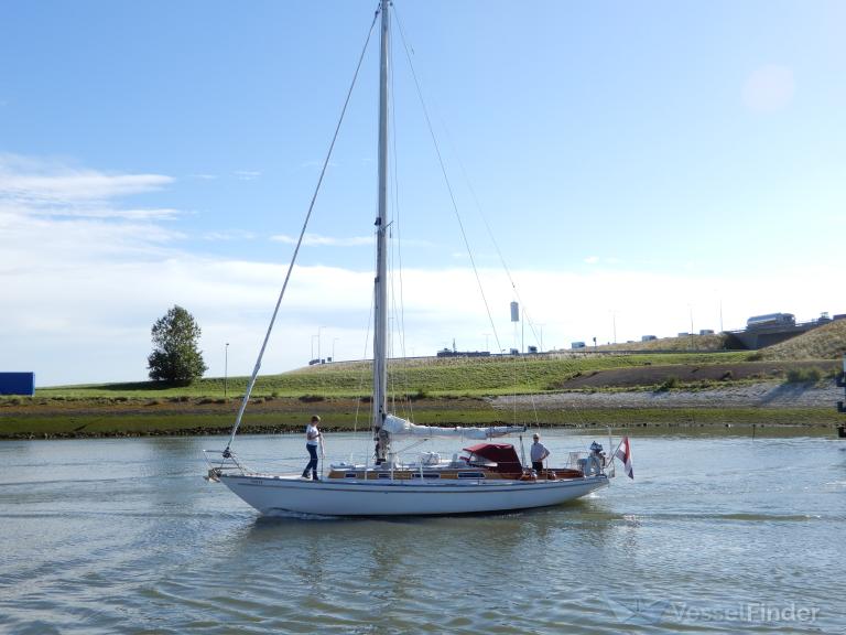 TIOTA photo