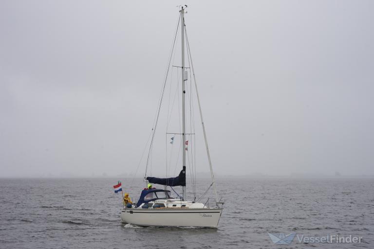 ALBATROS photo