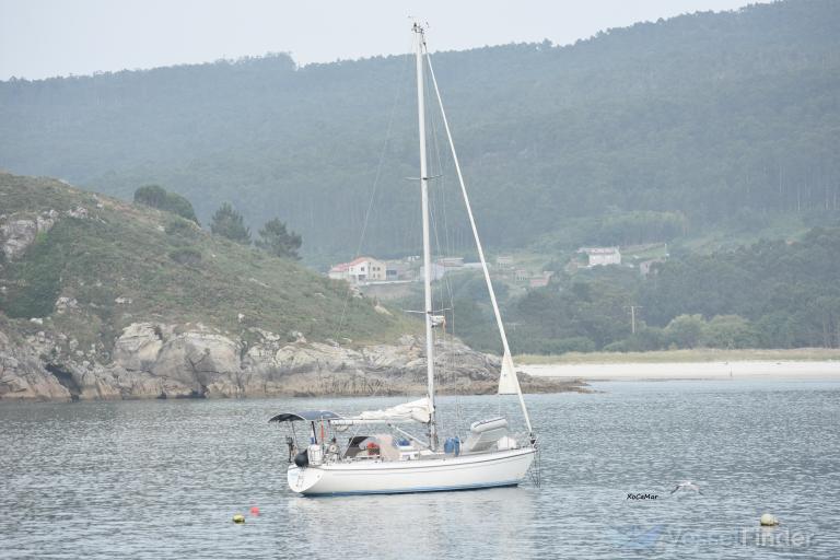 NEELTJE photo
